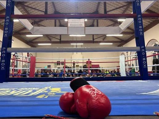 The empty ring seen from a corner post, red gloves resting on the canvas, the crowd behind